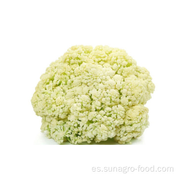 Calidad deliciosa coliflor congelada